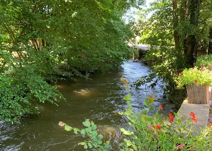 Chez Fernand Gezellig Huisdiervrij Te Hotton, Nabij Durbuy Holiday park Hotton